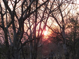 img-19