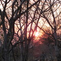 img-19