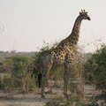 img-190