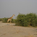 img-191