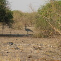 img-192