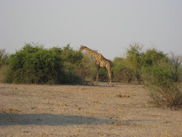 img-193