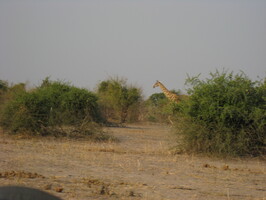 img-194