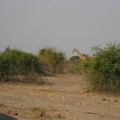 img-194