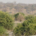 img-195