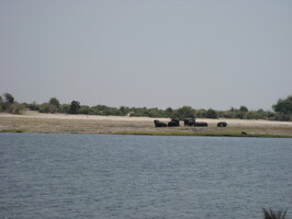 img-202