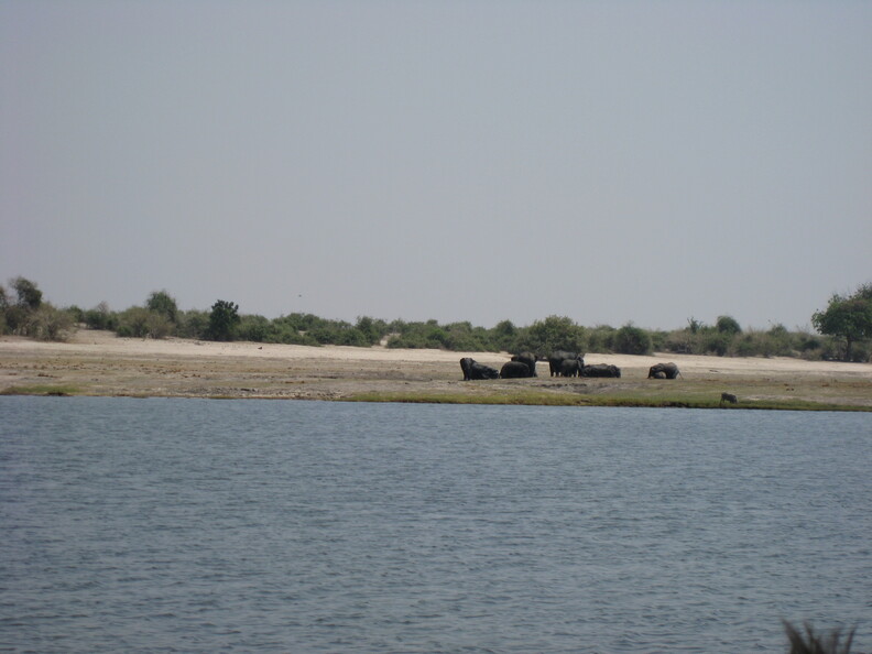 img-202.jpg
