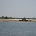 img-202