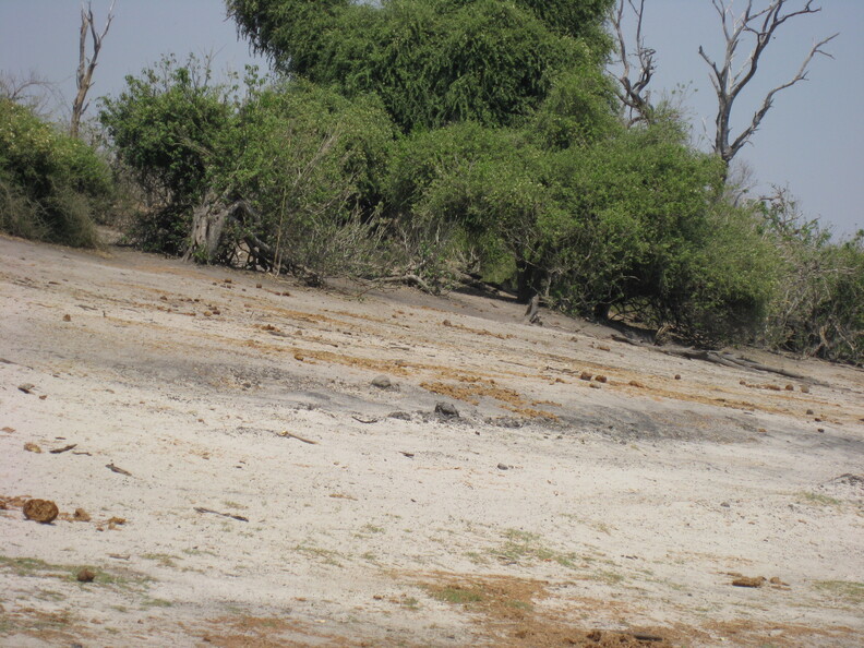 img-206.jpg