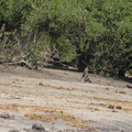 img-207