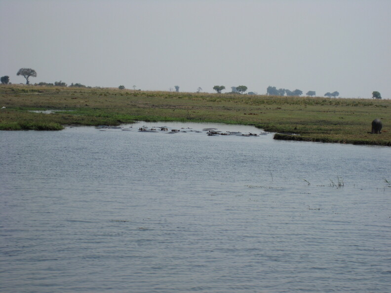 img-208.jpg