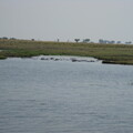 img-208