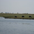 img-209