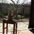 img-21