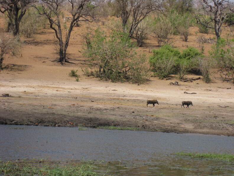 img-211.jpg