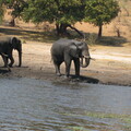 img-215
