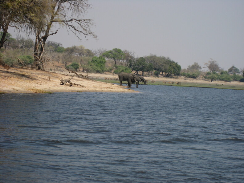 img-222.jpg