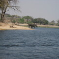 img-222
