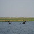 img-225