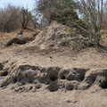 img-227