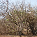 img-228.jpg