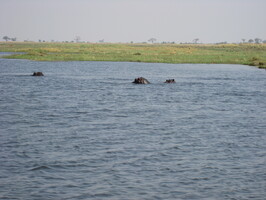 img-232