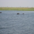 img-232