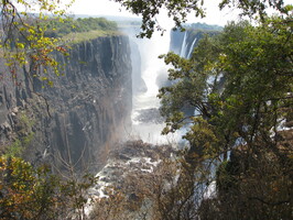 img-239