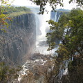img-239