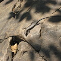 img-246