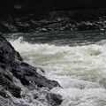 img-248