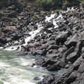 img-251