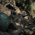 img-257
