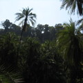 img-258