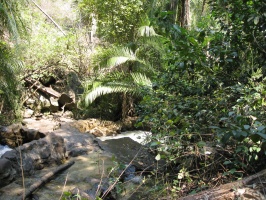africa07