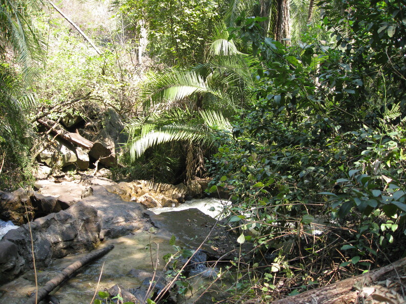img-259.jpg