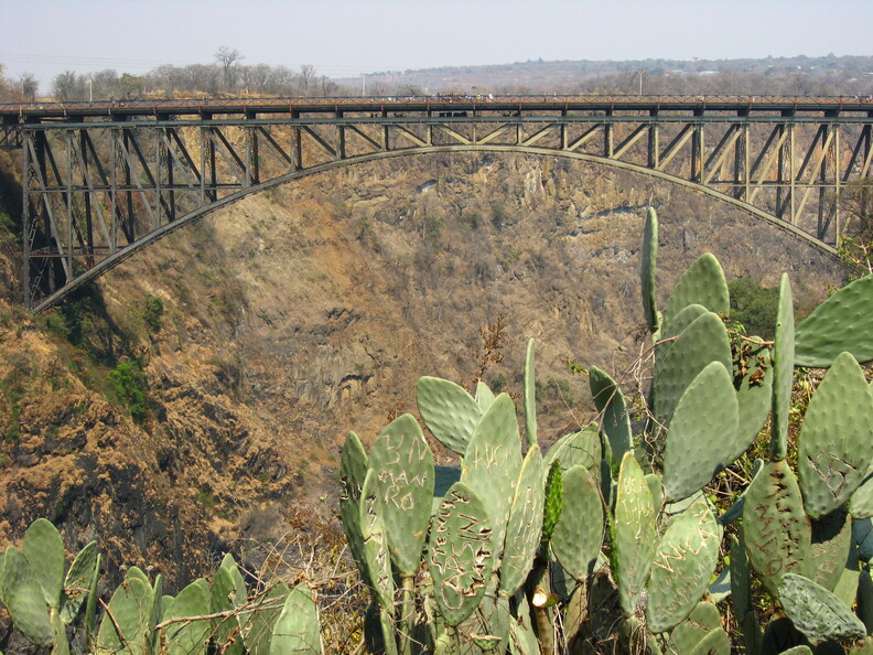 img-264.jpg