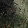 img-268.jpg