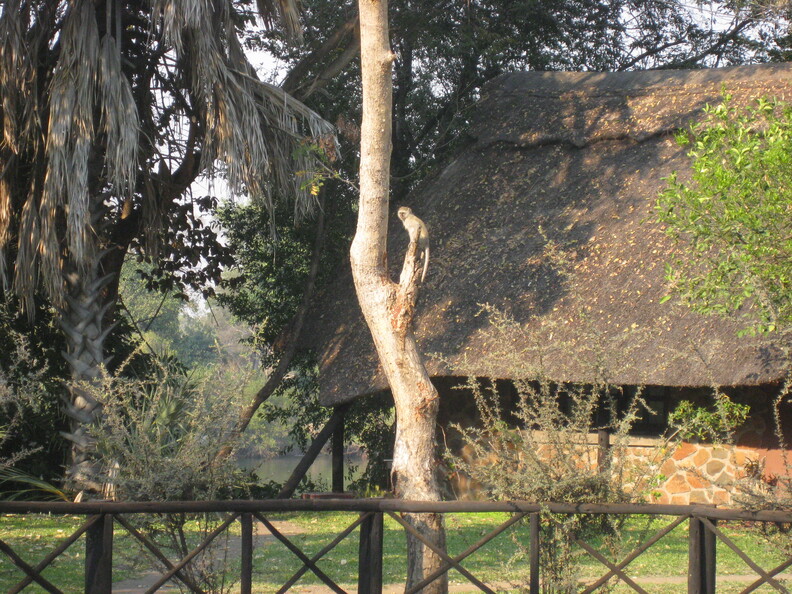 img-278.jpg