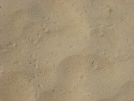 img-282