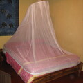 img-288