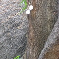 img-30.jpg
