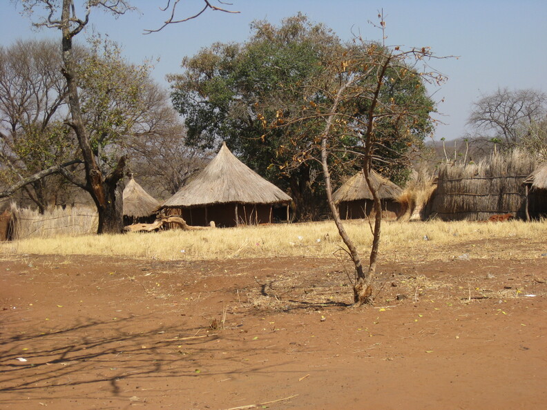 img-37.jpg