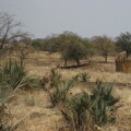img-4.jpg