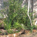 img-6