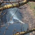 img-8