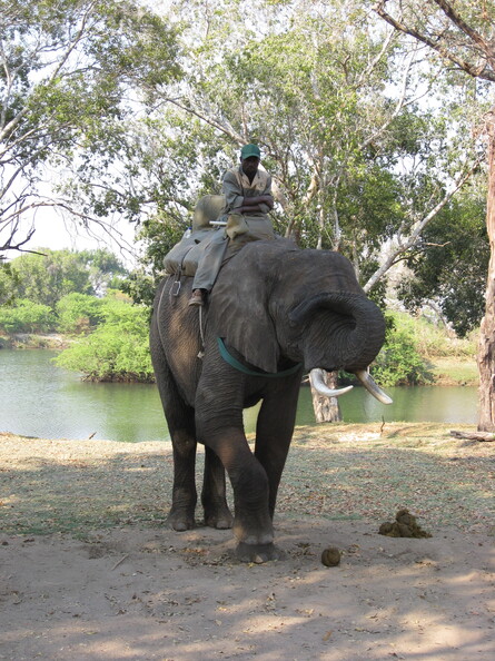 img-93.jpg