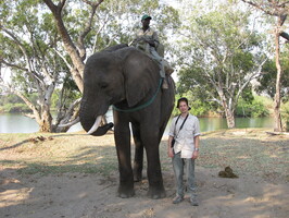 img-94