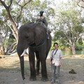 img-95