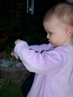 IMGP0392